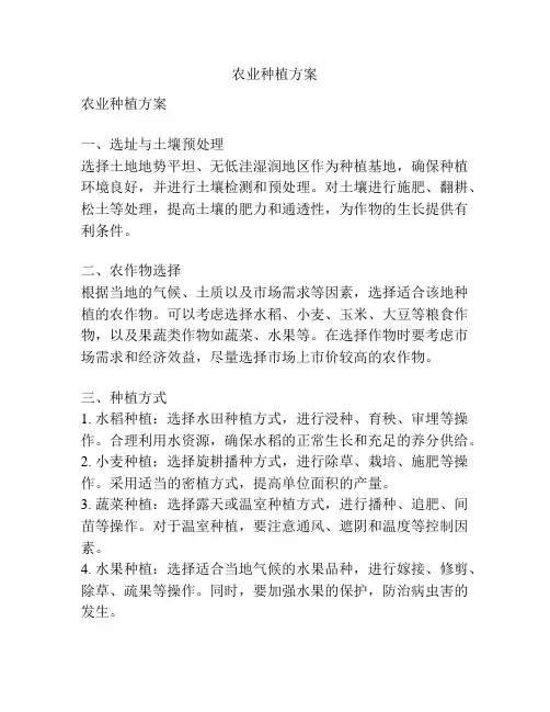 农业种植方案