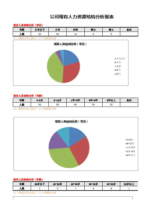 公司现有人力资源结构分析报表