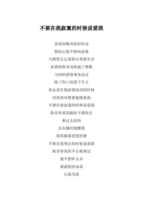 郑源《不要在我寂寞的时候说爱我》歌词(专辑：源情歌)