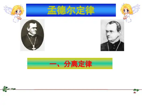 高中生物 孟德尔定律 一、分离定律