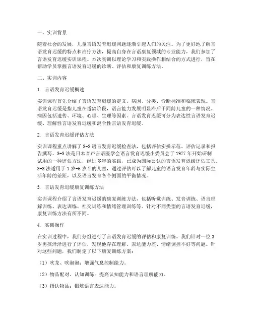 言语发育迟缓实训报告