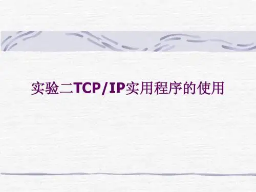 实验二TCPIP实用程序的使用
