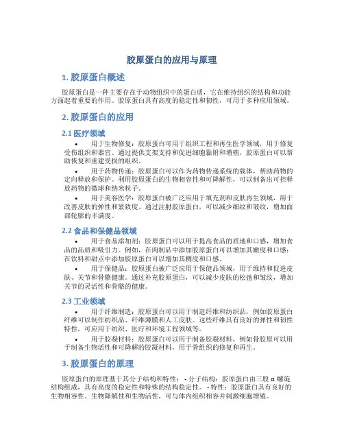 胶原蛋白的应用与原理