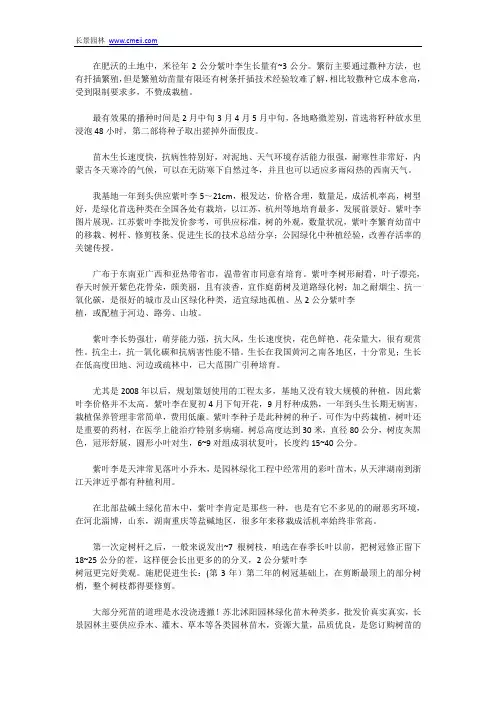2公分紫叶李