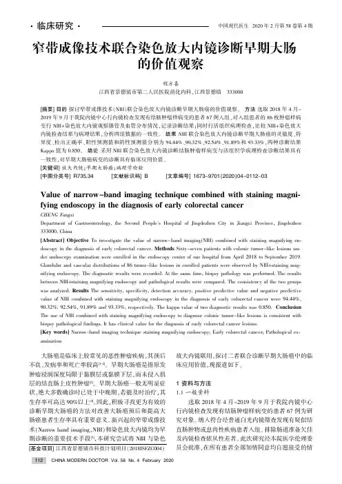 窄带成像技术联合染色放大内镜诊断早期大肠癌的价值观察