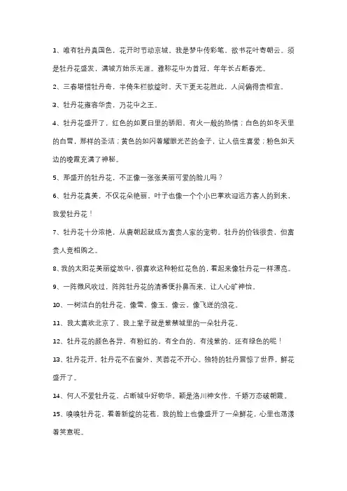 赞美红色牡丹花的美文佳句