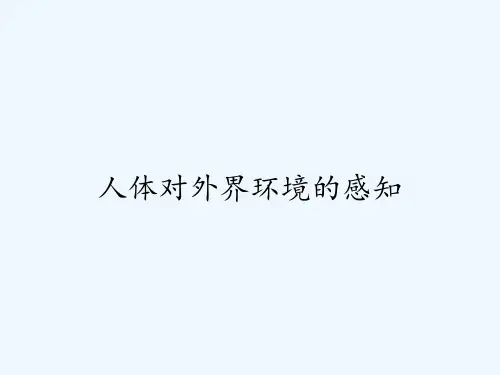 人体对外界环境的感知