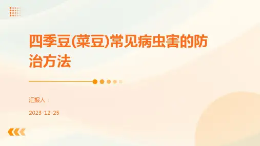 四季豆(菜豆)常见病虫害的防治方法