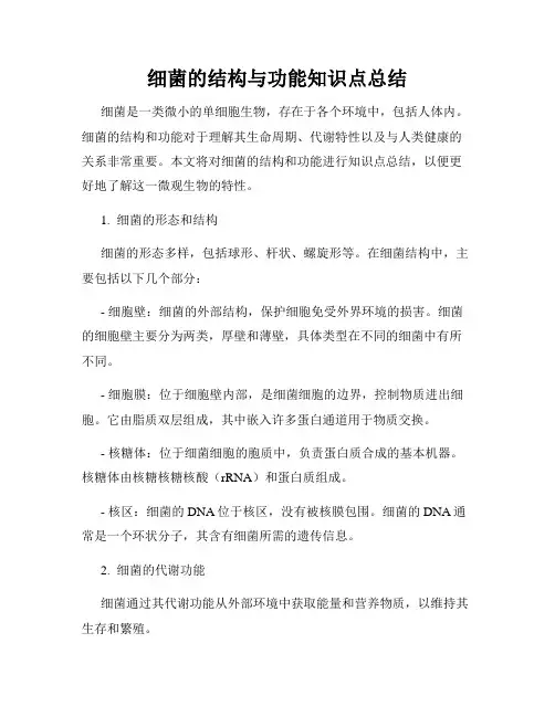 细菌的结构与功能知识点总结