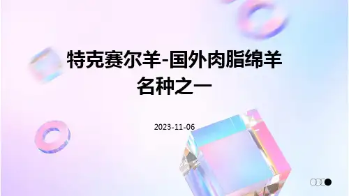国外肉脂绵羊名种之一-特克赛尔羊