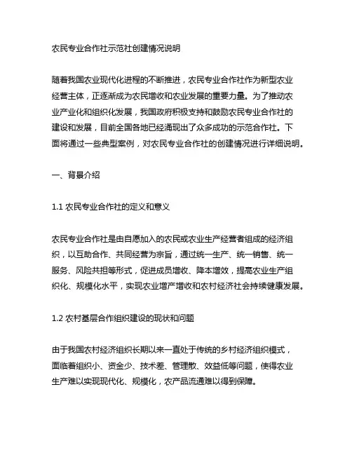 农民专业合作社示范社创建情况说明