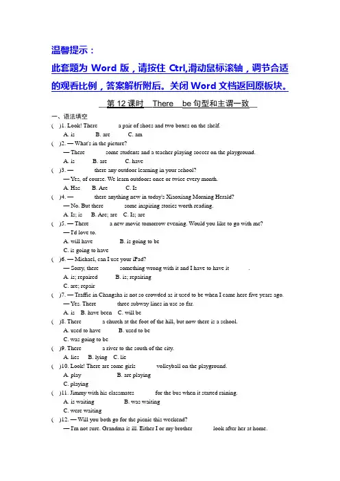 湖南长沙市中考英语二轮语法专项复习专题12 There be句型和主谓一致