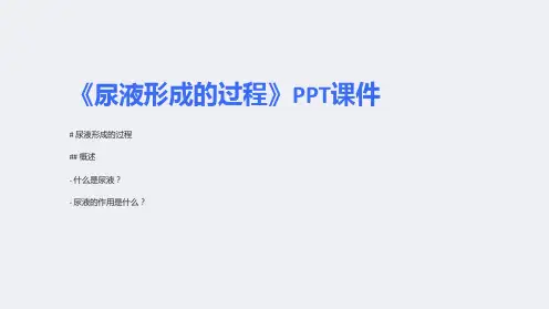 《尿液形成的过程》课件