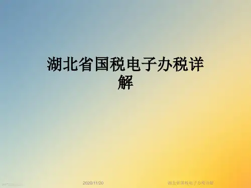 湖北省国税电子办税详解