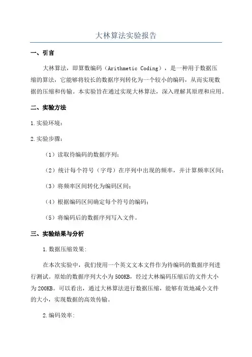 大林算法实验报告