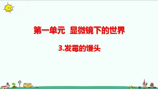 大象版科学六年级上册1-3 发霉的馒头(含练习)课件