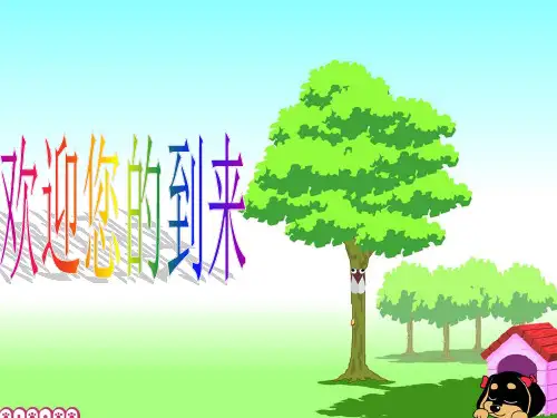 初二期中家长会课件PPT