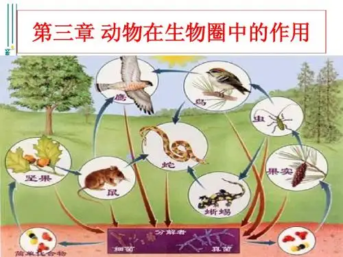 5.3.1动物在生物圈中的作用