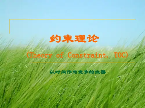 约束理论案例分析幻灯片PPT