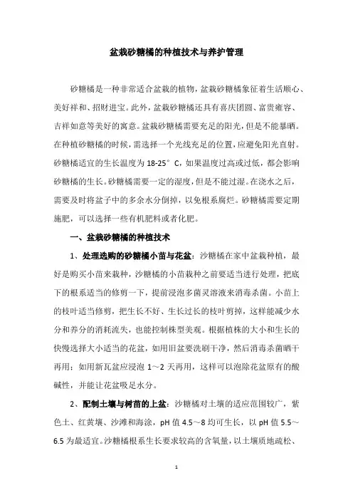盆栽砂糖橘的种植技术与养护管理