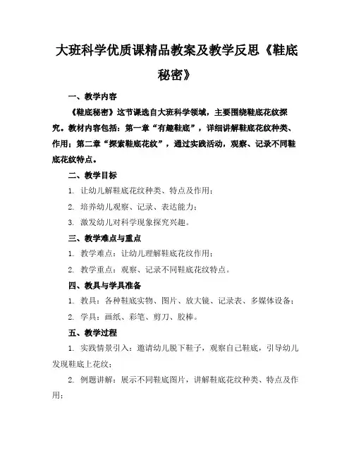 大班科学优质课精品教案及教学反思《鞋底的秘密》
