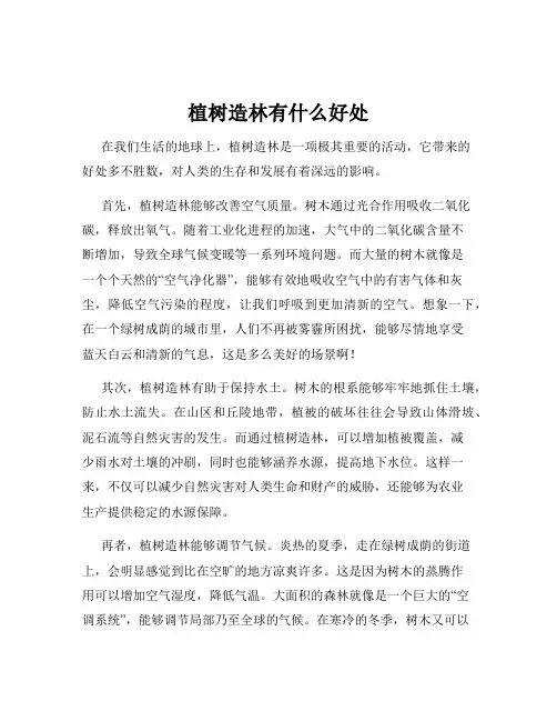 植树造林有什么好处