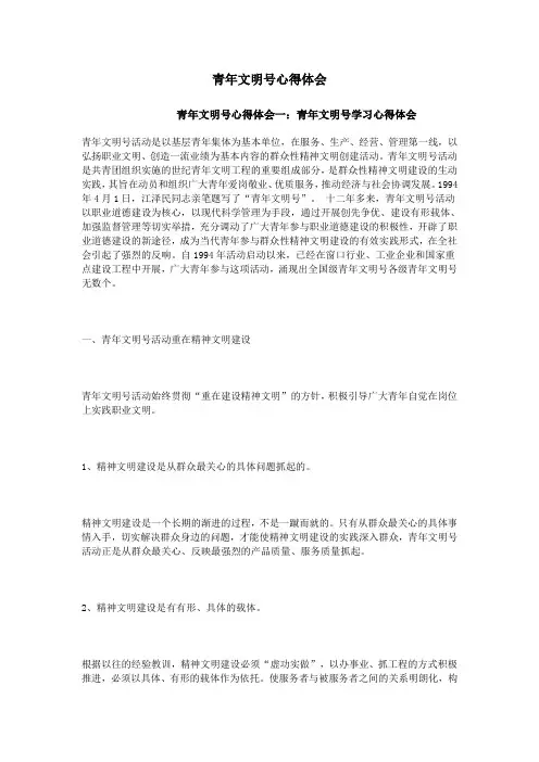 青年文明号心得体会