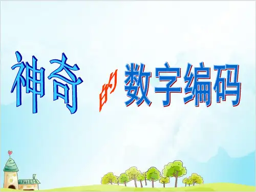 四年级上册数学 神奇的数字编码西师大版