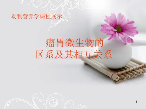 瘤胃微生物的区系及其相互关系PPT精选文档