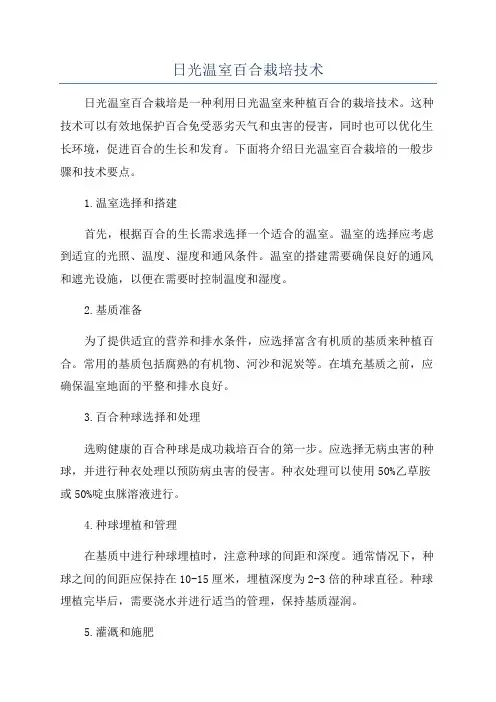日光温室百合栽培技术