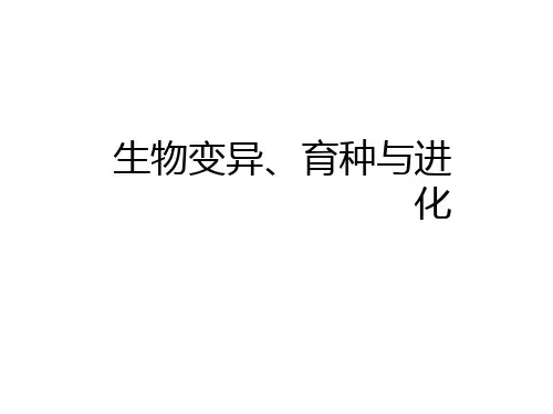 2021届高考生物二轮复习课件：生物变异、育种与进化 