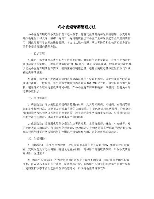 冬小麦返青期管理方法