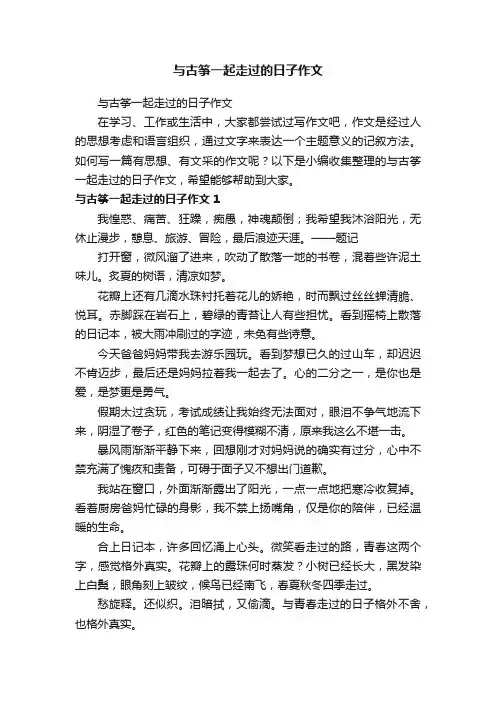 与古筝一起走过的日子作文