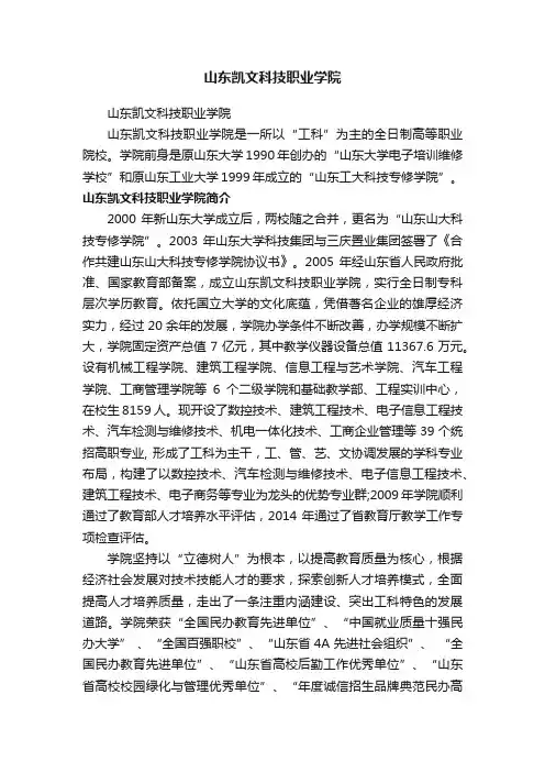 山东凯文科技职业学院