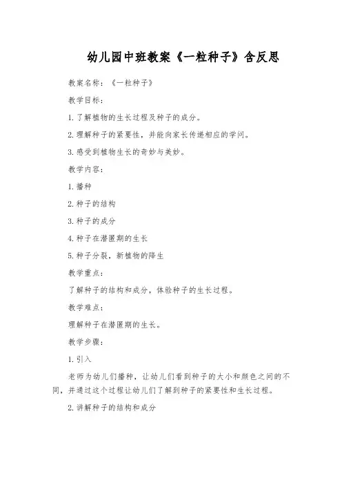 幼儿园中班教案《一粒种子》含反思