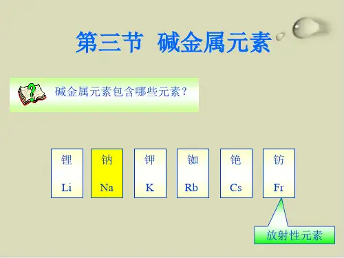 碱金属元素PPT下载10 人教版