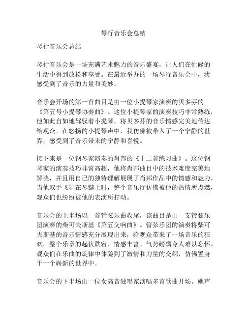 琴行音乐会总结