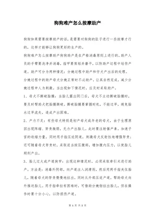 狗狗难产怎么按摩助产