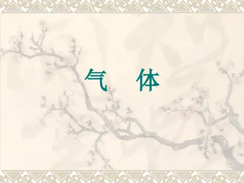 气体gas PPT课件