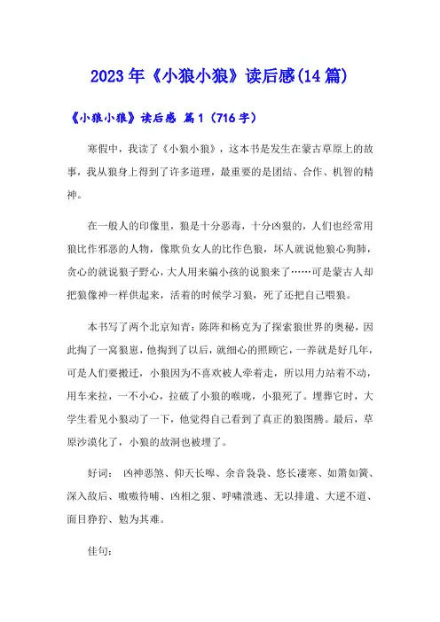 2023年《小狼小狼》读后感(14篇)