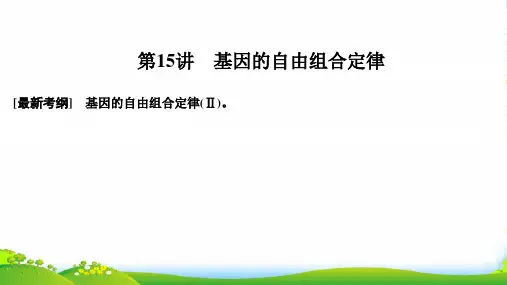 届高考生物一轮复习苏教版课件：必修二 第五单元 遗传的基本规律 第15讲
