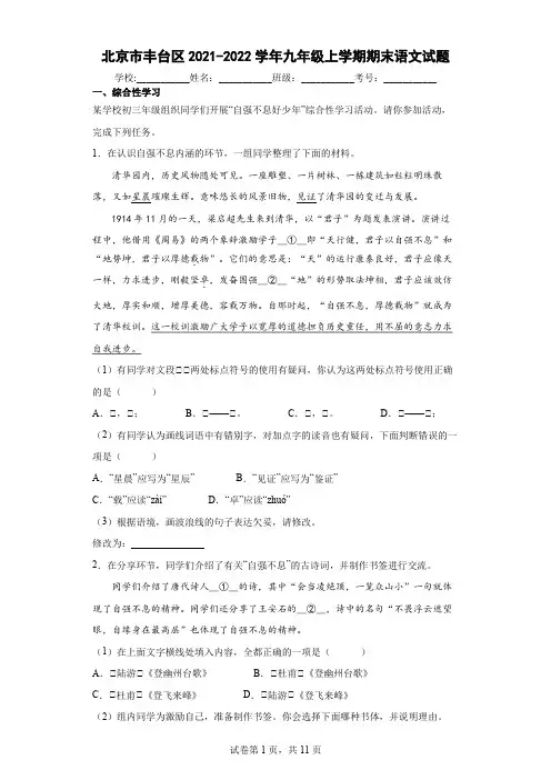 北京市丰台区2021-2022学年九年级上学期期末语文试题(word版 含答案)