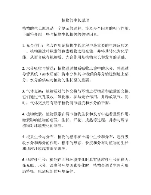 植物的生长原理