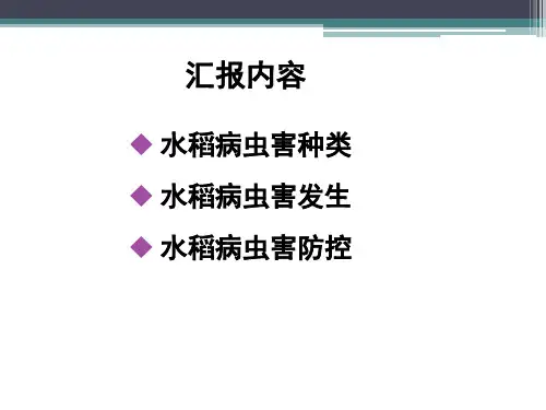 水稻病虫害培训