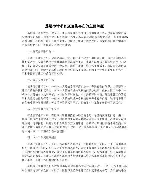 基层审计项目规范化存在的主要问题