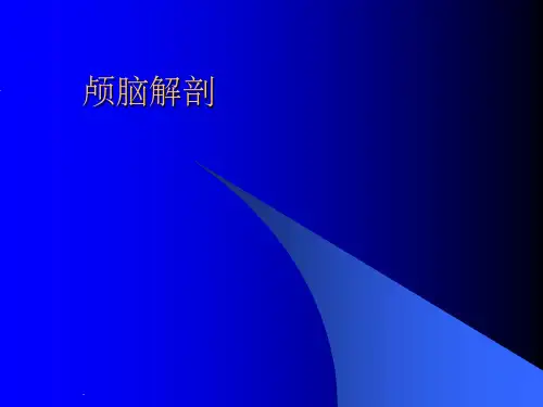 大脑解剖图谱ppt课件