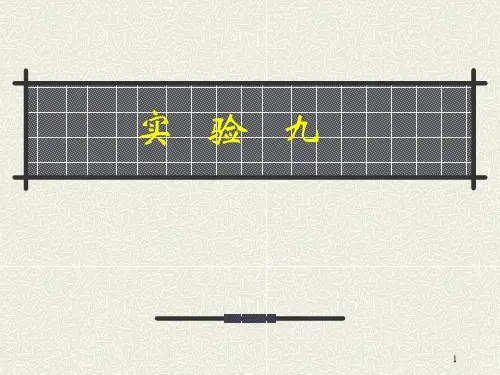 病毒的分离与鉴定(一)ppt课件