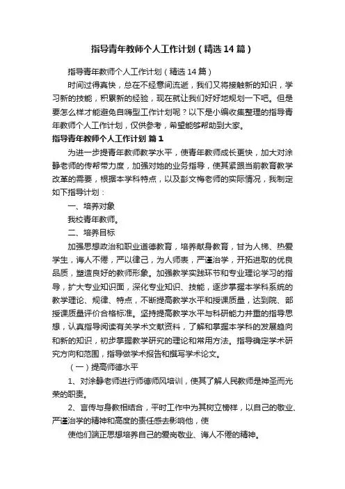 指导青年教师个人工作计划（精选14篇）