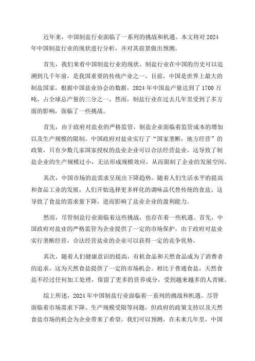 2024年中国制盐行业现状及其前景预测分析