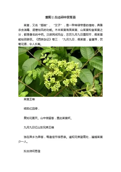重阳丨古诗词中赏茱萸